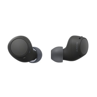 WFC510B - Truly Wireless Earbuds w/ Ambient Sound Mode Black